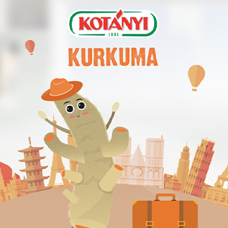 mercator kurkuma324 324