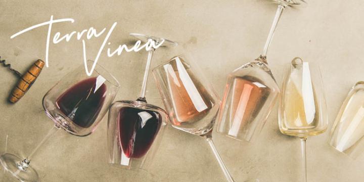 Banner Mercator TZ image 770x400px2