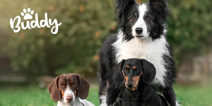 Banner Mercator TZ image 770x400px23