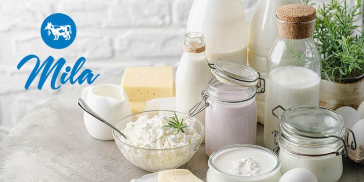 Banner Mercator TZ image 770x400px24