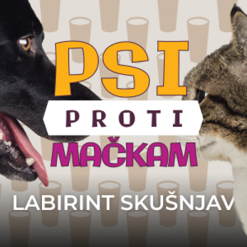 Kdo se bo bolje odrezal v labirintu skušnjav?