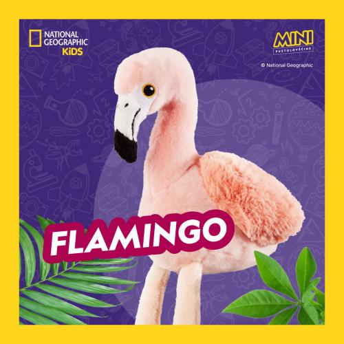 To glamurozno roza ptico lahko najdemo v toplih vodnih regijah na mnogih celinah. Za flamingovo roza barvo so odgovorni majhni rakci.