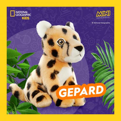 Gepard je najhitrejša kopenska žival na svetu. V samo treh sekundah lahko doseže hitrost 112 km/h. Njegovo telo je ustvarjeno za hitrost. Ima dolge noge, podolgovato hrbtenico, kremplje, ki so prilagojeni za oprijem tal, in dolg rep za ravnotežje.