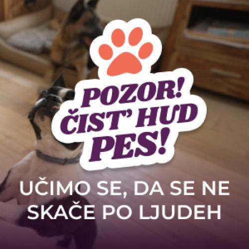 Kako naučimo psa, da ne skače po ljudeh?