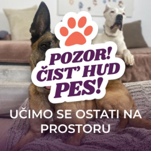 Kako naučimo psa, da osvoji ukaz »prostor«?