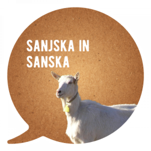 Tradicionalna sanska koza