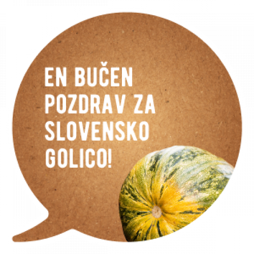 Avtohtona buča slovenska golica