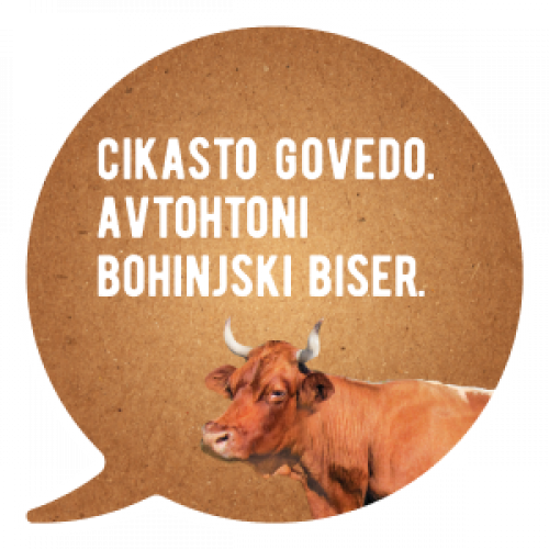 Avtohtono cikasto govedo